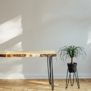 Image a desk and a plant